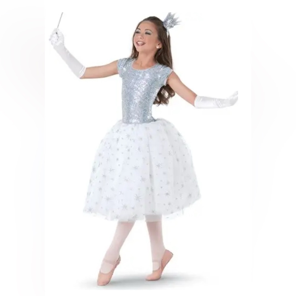Weissman The Magic Song 8940 Fairy Princess Dance Ballet Character Costume